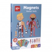 MAGNETS COS HUMÀ.63 PECES MAGNÉTIQUES