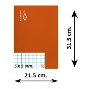 LLIBRETA FOLI TAPA DURA 50 FULLS. QUADRÍCULA 5 MM: TARONJA